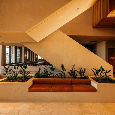 MSR 2024 Accommodation Mushroom Creative 67